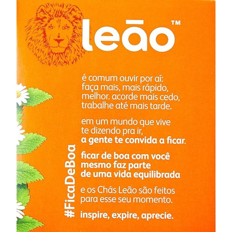 FOTO3