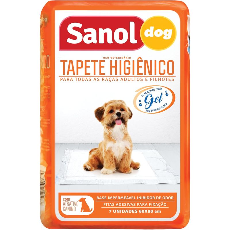 FOTO2