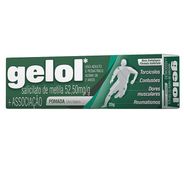Gelol 52,5mg/g Pomada com 20g