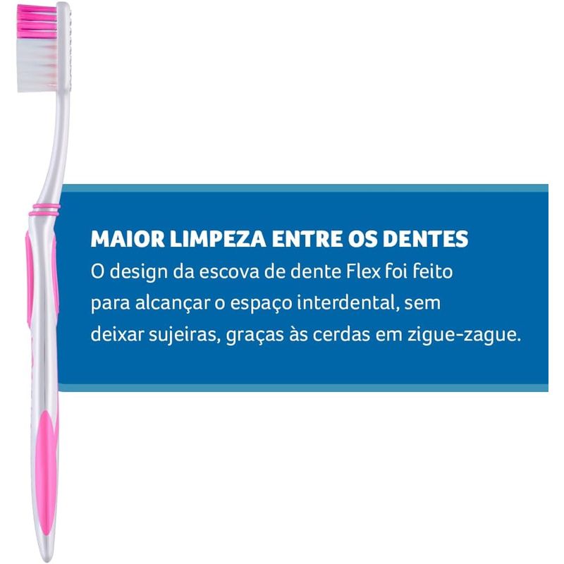 FOTO3