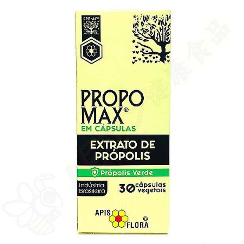 FOTO2