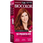 FOTO3