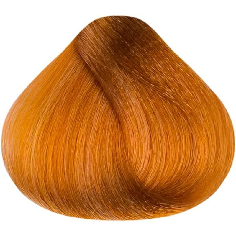 FOTO2