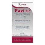 Pazine.jpg