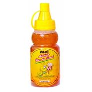 Mel Bisnaga Silvestre Apiário Flor Da Serra 250G
