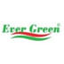 Símbolo da marca https://crescerfarma.vteximg.com.br/arquivos/ids/256570/EVER-GREEN.jpg