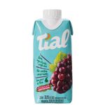 89605-nectar-tial-sabor-uva-330ml.20250106110314
